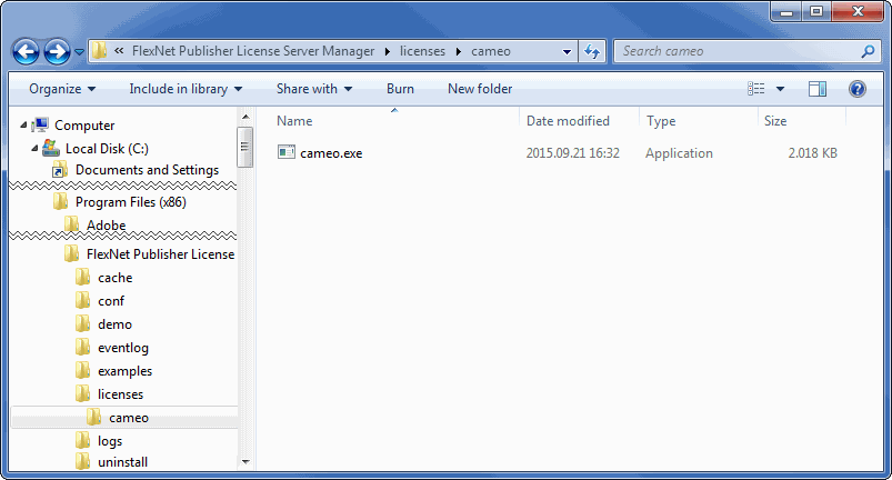 Placing the Vendor daemon Cameo to the FlexNet installation folder